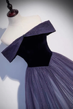 Shiny Off Shoulder Tulle A-Line Formal Evening Dress HZ0319