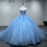 Shiny Ball Gown Blue Tulle A-Line Long Party Prom Dresses Evening Dress HZ0319