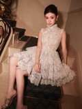 Vintage Beige Applique Design A-line Lace Short Tiered Party Dress Homecoming Dresses HZ0319