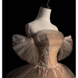 Off Shoulder A-Line Tulle Elegant Long Formal Prom Dress Ball Gown HZ0319