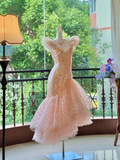 Vintage Champagne Sequin Design Mermaid Elegant Homecoming Dress Birthday Dress Party Dress HZ0319