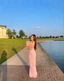 Pink Spaghetti Straps Backless Sheath Long Party Dress, HZ0319