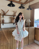 Pretty V-neck Lace-up Sleeveless Lace Tiered Pleated Homecoming Dress Party Dress HZ0319