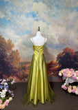 Charming Prom Dress Spaghetti Straps Prom Gown Evening Dress Gala Dress HZ0319