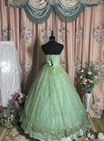 Shiny Prom Dress Strapless Tulle Ball Gown Evening Dress Quinceanera Dress HZ0319