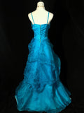 Vintage Prom Dress Spaghetti StrapsTulle Evening Dress Birthday Party Dress HZ0319