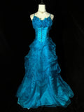 Vintage Prom Dress Spaghetti StrapsTulle Evening Dress Birthday Party Dress HZ0319