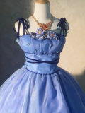 Stunning Prom Dress Spaghetti Straps Pleated Flower Ball Gown Evening Dress Sweet 16 Dress HZ0319