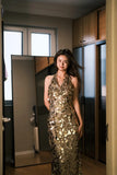 Shiny Prom Dress V-neck Backless Sequins Birthday Party Dress Evening Dress Cocktail Dress HZ0319