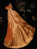Charming Prom Dress Asymmetrical Neck Tulle Evening Dress Gala Dress Formal Dress HZ0319