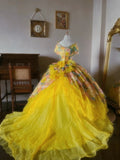 Charming Prom Dress Boat Neck Print Quinceanera Dress Ball Gown Evening Dress HZ0319