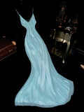 New Arrival Prom Dress Spaghetti Straps Mermaid Birthday Party Dress Gala Dress Evening Dress HZ0319
