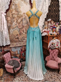 Elegant Prom Dress V-neck Backless Pleated Gala Dress Evening Dress Formal Dress HZ0319