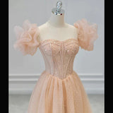 Champagne Pink Sparkly A Line Long Prom Dress Bling Evening Dress HZ0319