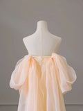A-line Champagne Scoop Lace-up Party Dress, Champagne Long Prom Dress HZ0319