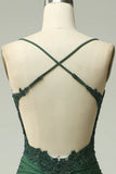 Mermaid Dark Green Long Prom Dress with Appliques Beading HZ0319
