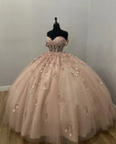 Light Pink Applique Ball Gown Prom Dress Evening Formal Dress HZ0319