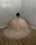 Light Pink Applique Ball Gown Prom Dress Evening Formal Dress HZ0319