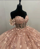 Light Pink Applique Ball Gown Prom Dress Evening Formal Dress HZ0319
