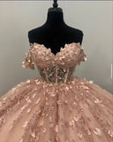 Light Pink Applique Ball Gown Prom Dress Evening Formal Dress HZ0319
