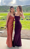 Elegant Straps Mermaid Long Prom Gown Evening Party Dress HZ0319