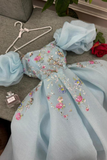 Blue A-Line Chiffon Appliques Princess Long Party Dress, HZ0319
