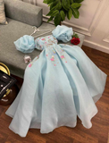 Blue A-Line Chiffon Appliques Princess Long Party Dress, HZ0319