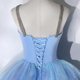 Fairy Spaghetti Strap Sweet 16 Birthday Party Gown Sparkly Formal Prom Dress HZ0319