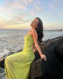Green Spaghetti Straps Sheath Lace Long Party Dress, HZ0319