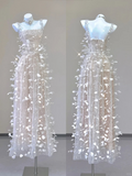 Champagne Straps Beading A-Line Feathers Long Prom Dress Evening Gown, HZ0319