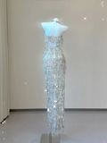 Glitter Strapless Beading Sheath Long Party Dress Gorgeous Evening Gown, HZ0319