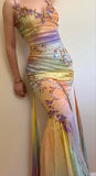 Colorful Straps Appliques Tulle Mermaid Long Party Dress Chic Evening Dress, HZ0319